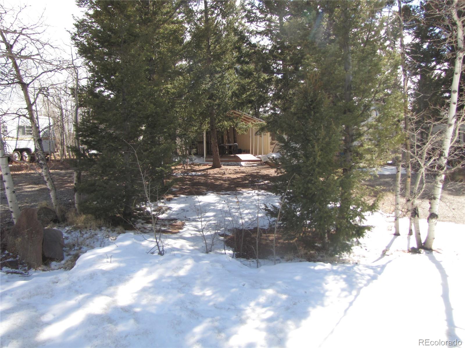 540 Lantern Loop Fairplay, CO 80440 - Photo 24 of 24 a view of a yard with plants and trees