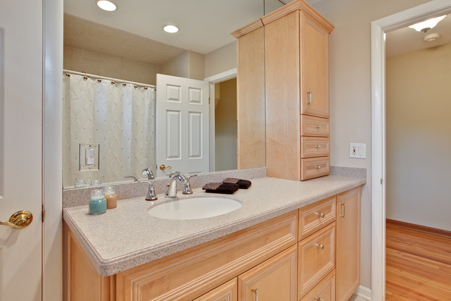 75 Downing Road Buffalo Grove, IL 60089 - Photo 17 of 25 Gallery Image 17