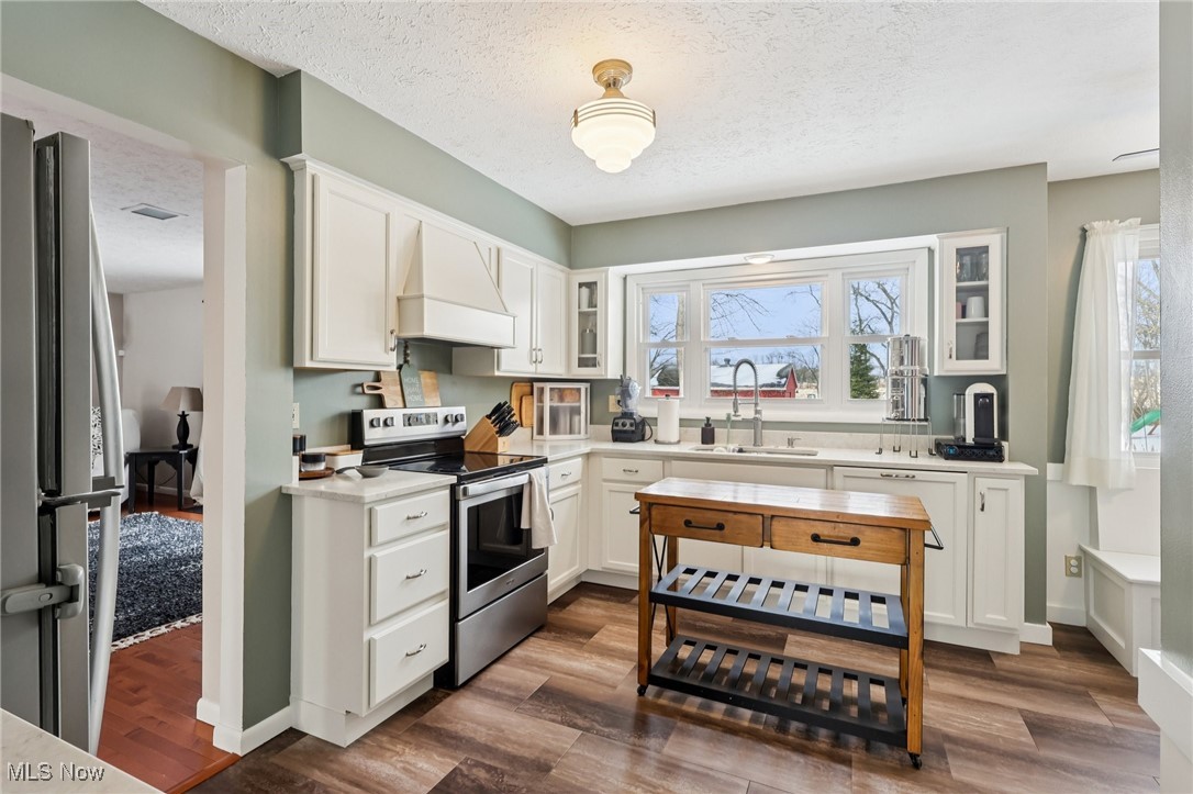 445 Center Road Hinckley, OH 44233 - Photo 12 of 50 Kitchen with appliances with stainless steel finishes, white cabinets, glass insert cabinets, custom exhaust hood, and dark wood-type flooring