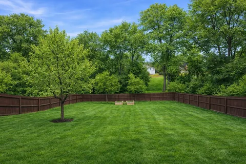 a view of a backyard with a tree