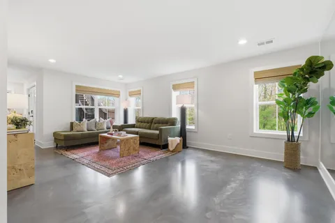 a living room with furniture and a potted plant