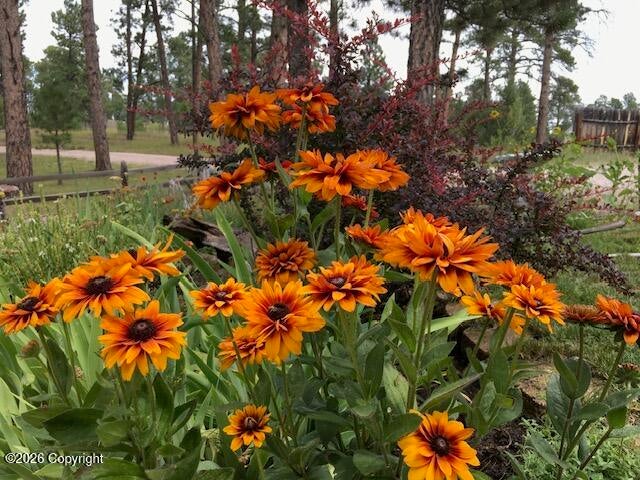 4 Ridge Road Moorcroft, WY 82721 - Photo 12 of 27 Gallery Image 12