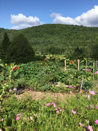 $289,000 | 1110 Creek Road, Albany, VT 05845