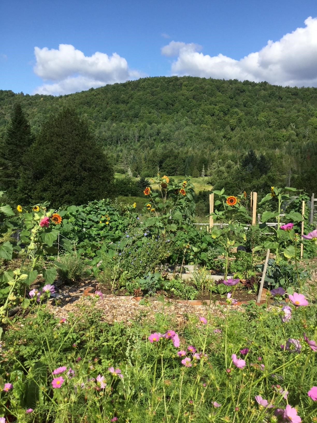 1110 Creek Road Albany, VT 05845 - Photo 57 of 59