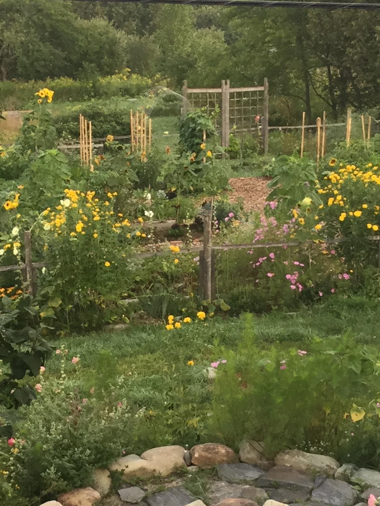 1110 Creek Road Albany, VT 05845 - Photo 58 of 59