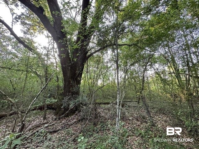 0 Wilmer Road Wilmer, AL 36587 - Photo 27 of 28