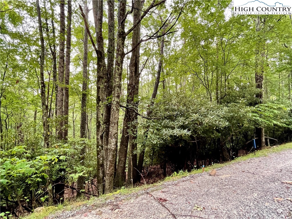 169 Raccoon Road Beech Mountain, NC 28604 - Photo 6 of 7 a view of outdoor space and yard