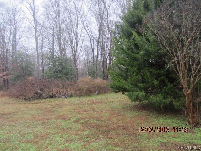 1324 Manfield Road Manquin, VA 23106 - Photo 3 of 13 Gallery Image 3