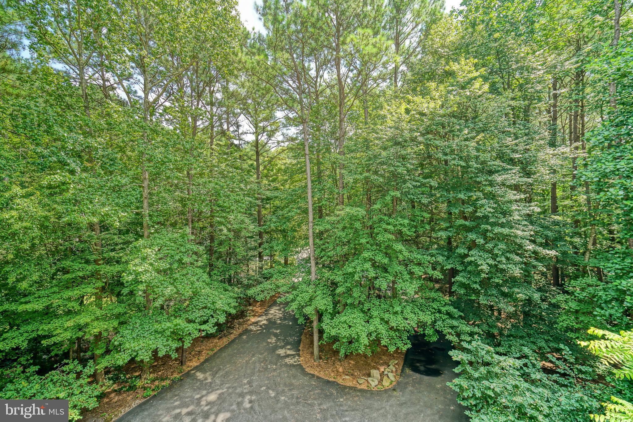 23761 Winding Way Milton, DE 19968 - Photo 43 of 127