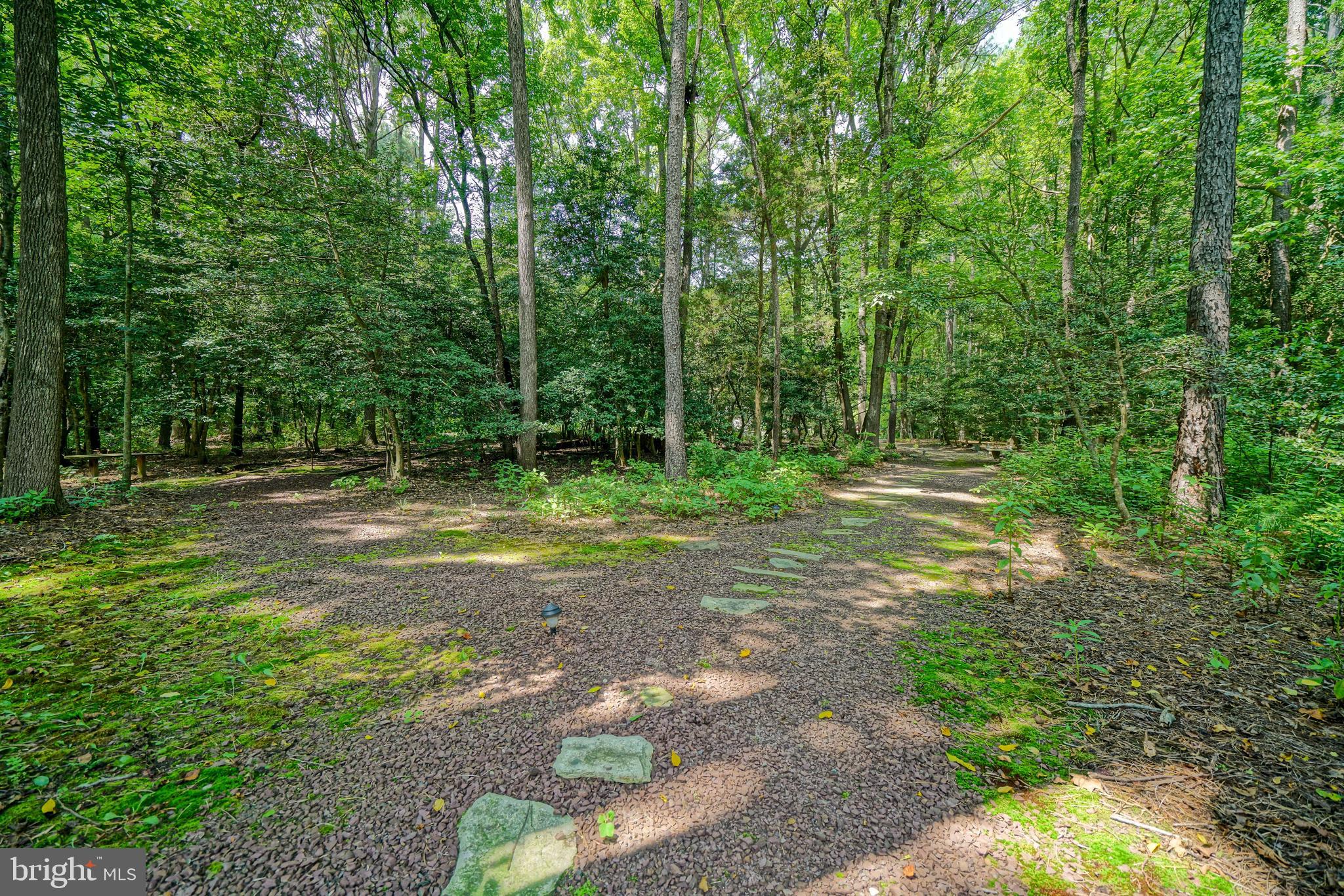 23761 Winding Way Milton, DE 19968 - Photo 79 of 127