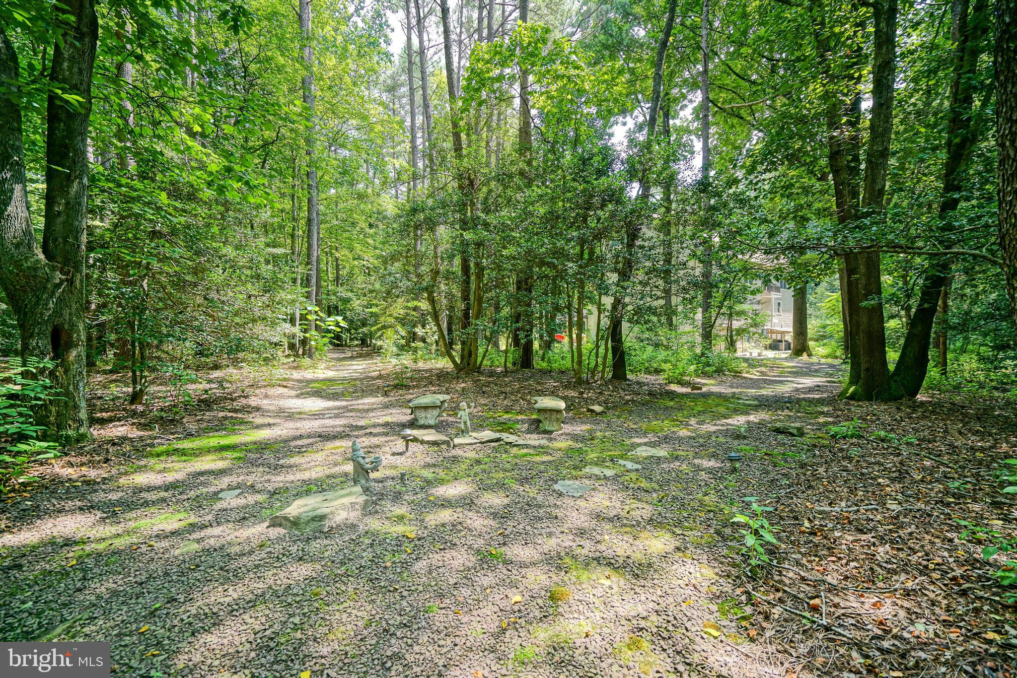 23761 Winding Way Milton, DE 19968 - Photo 80 of 127