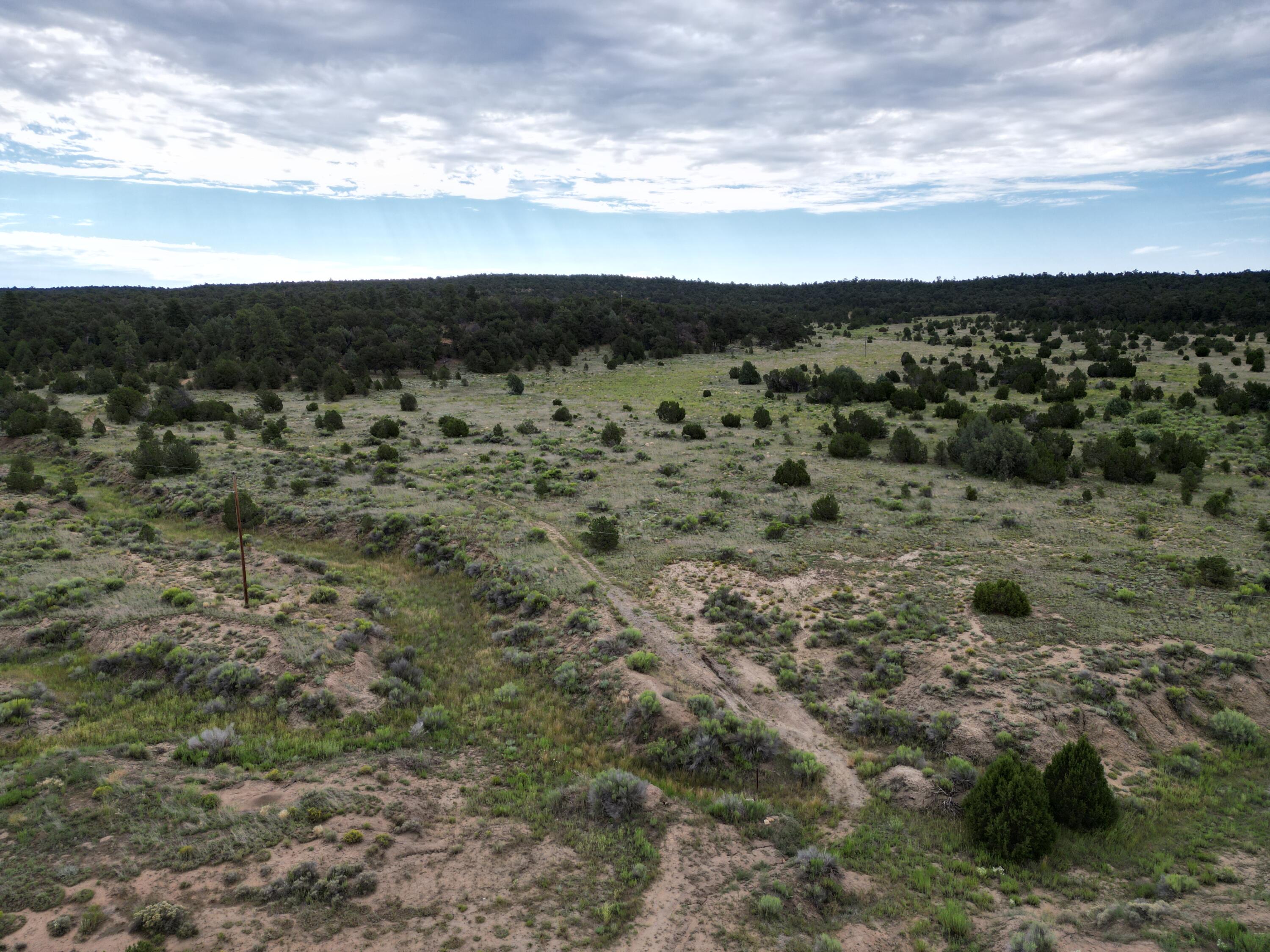 Lot 14 Candy Kitchen Road Ramah, NM 87357 - Photo 33 of 41 Gallery Image 33