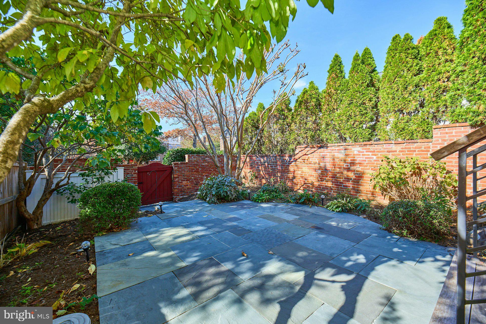 1120 Kensington Road McLean, VA 22101 - Photo 35 of 47 a view of backyard with plants and trees