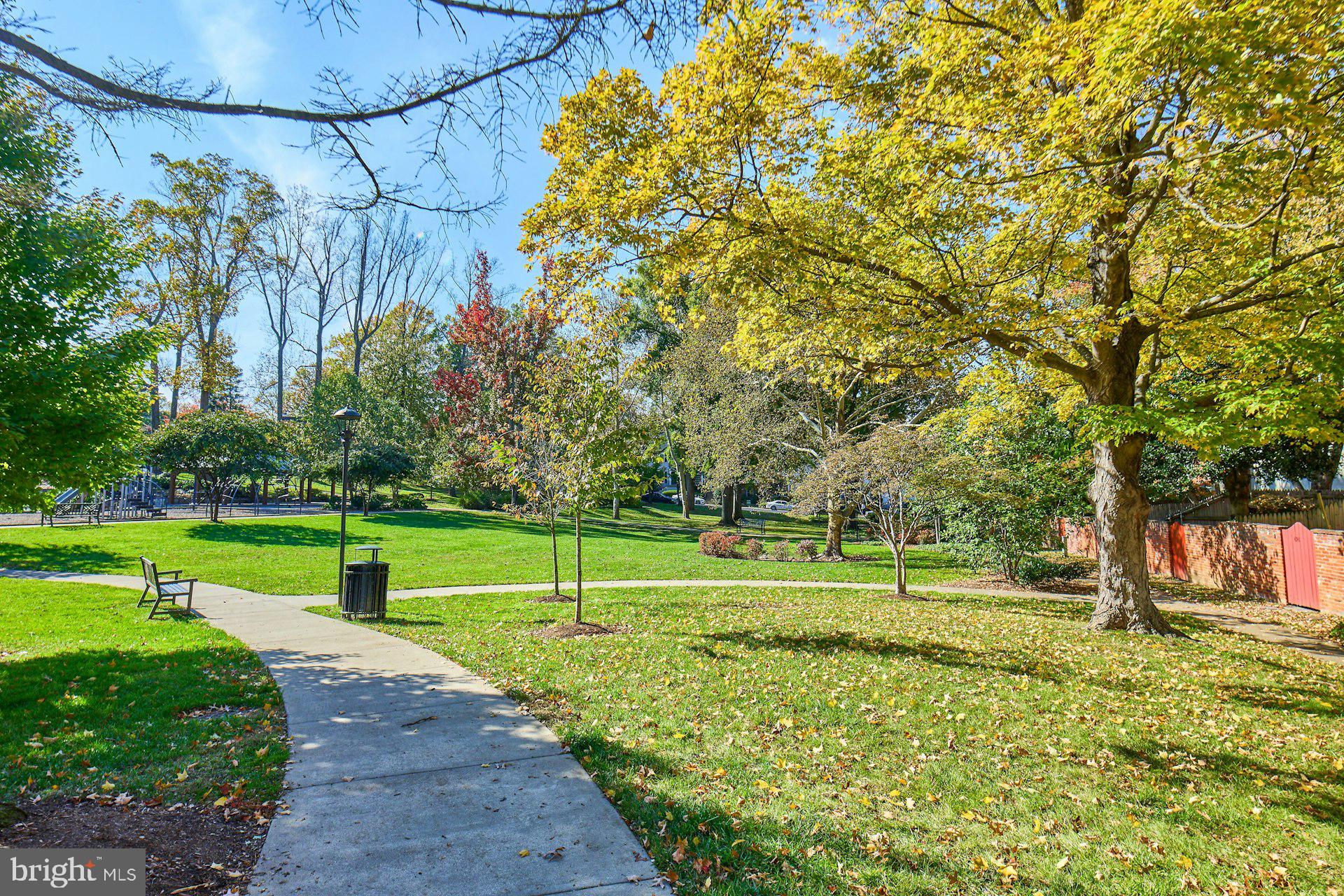 1120 Kensington Road McLean, VA 22101 - Photo 38 of 47 a view of a park with large trees