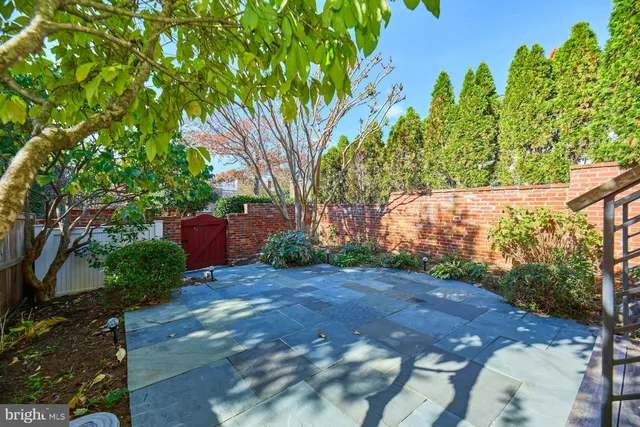 a view of backyard with plants and trees