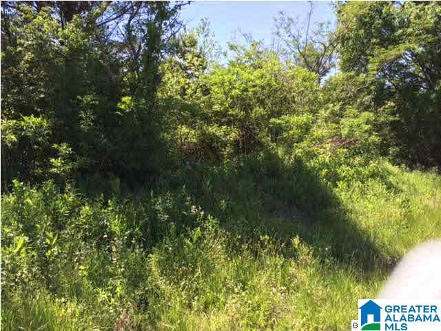 29 Highway, Unit 26 Oneonta, AL 35121 - Photo 1 of 1