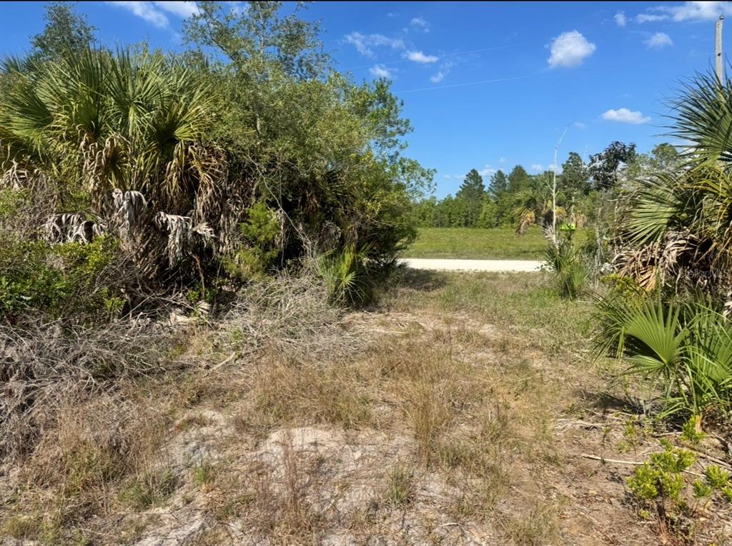 18455 Quiet Road Weeki Wachee, FL 34614 - Photo 2 of 9 a view of an outdoor space and a yard