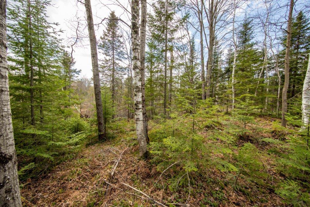 10624 Lynx Lake Road Presque Isle, WI 54557 - Photo 24 of 27 Gallery Image 24