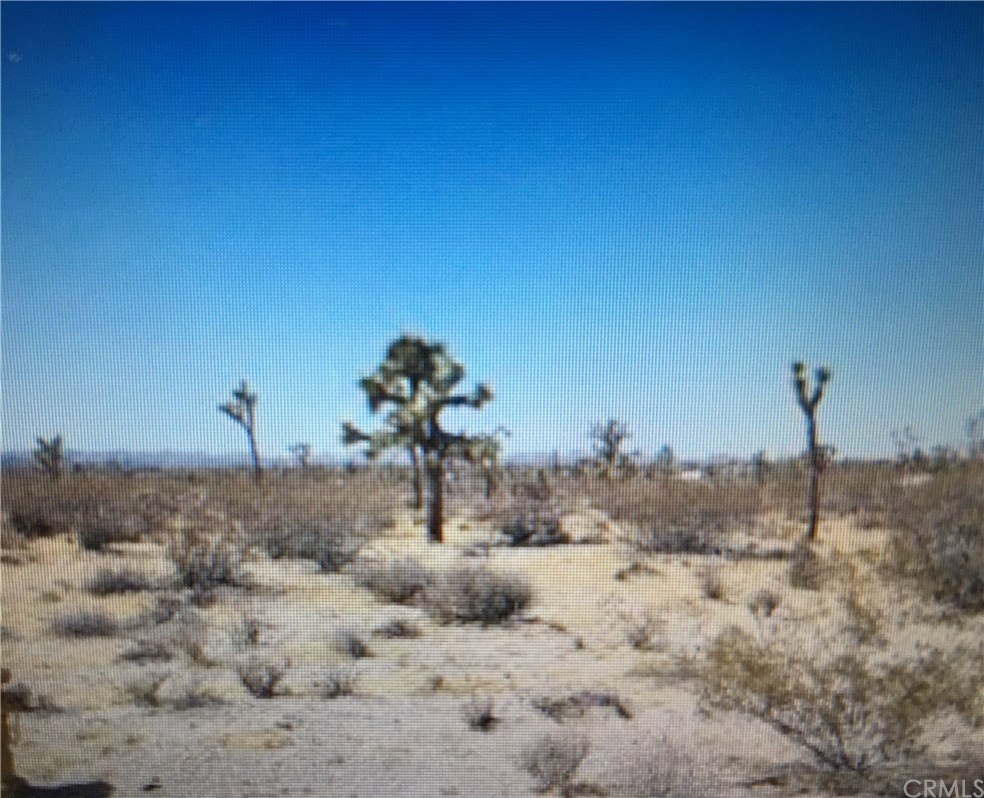0 Jack Rabbit Run Wrightwood, CA 92397 - Photo 1 of 1 a view of a dry field