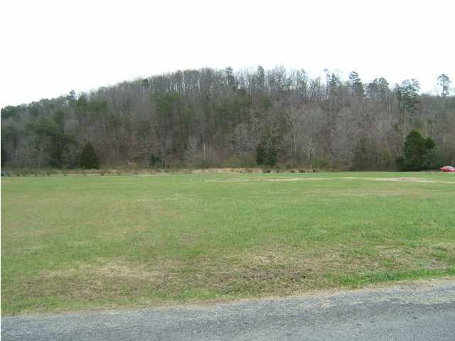 0 Daus Mill Road, Unit A Dunlap, TN 37327 - Photo 1 of 7 Primary Photo