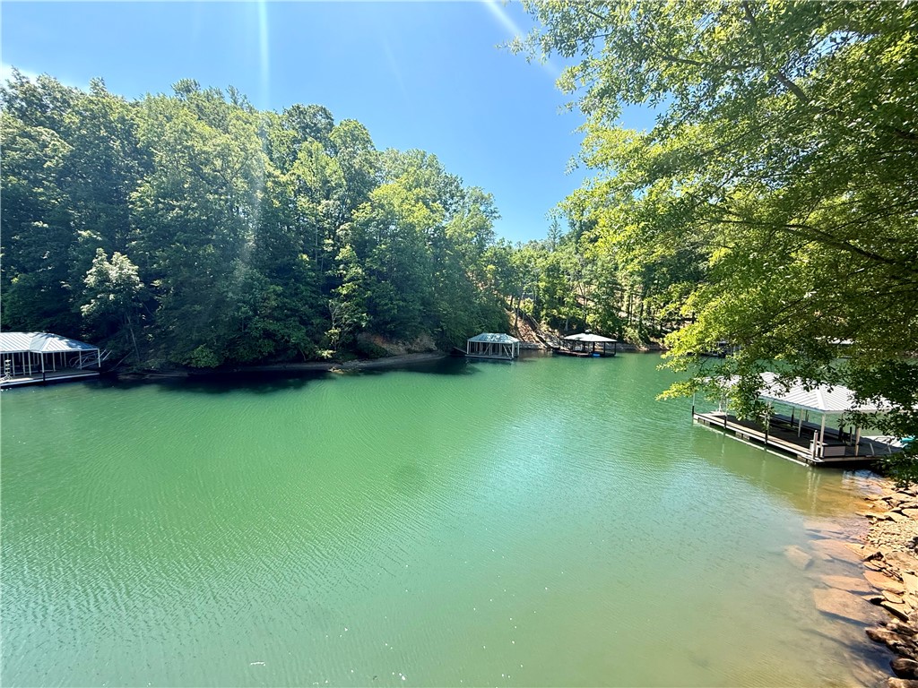 1200 Loran Pointe Circle Seneca, SC 29672 - Photo 19 of 29 This tranquil waterfront setting boasts multiple private docks and lush green surroundings under a clear sky.