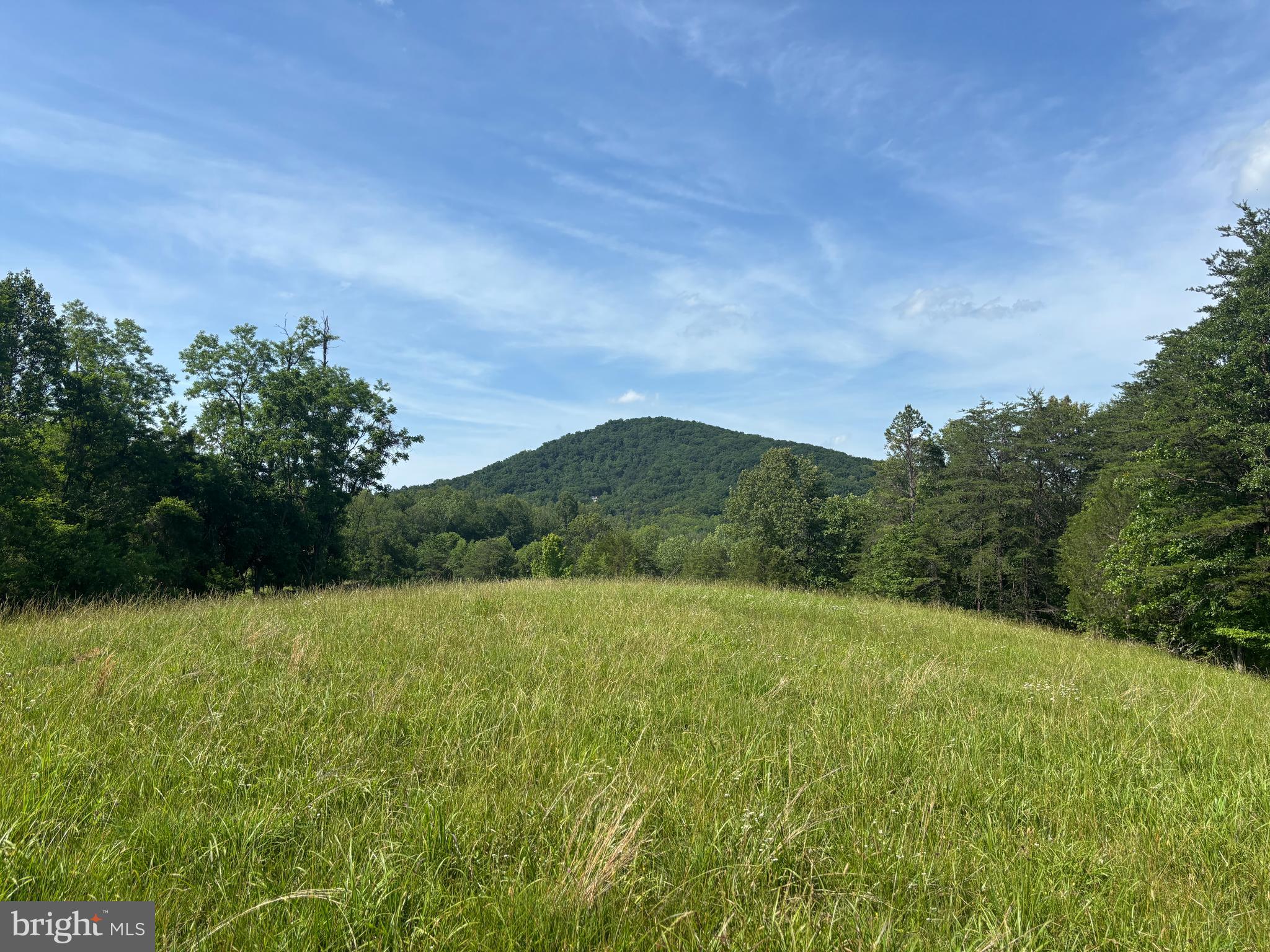 Castle Rock Lane Castleton, VA 22716 - Photo 15 of 15 Open pasture