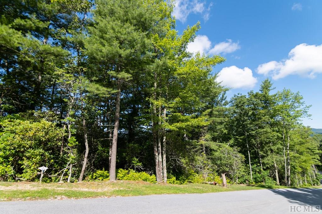 Lot 2 East Ridge Road Cashiers, NC 28717 - Photo 6 of 14 Gallery Image 6
