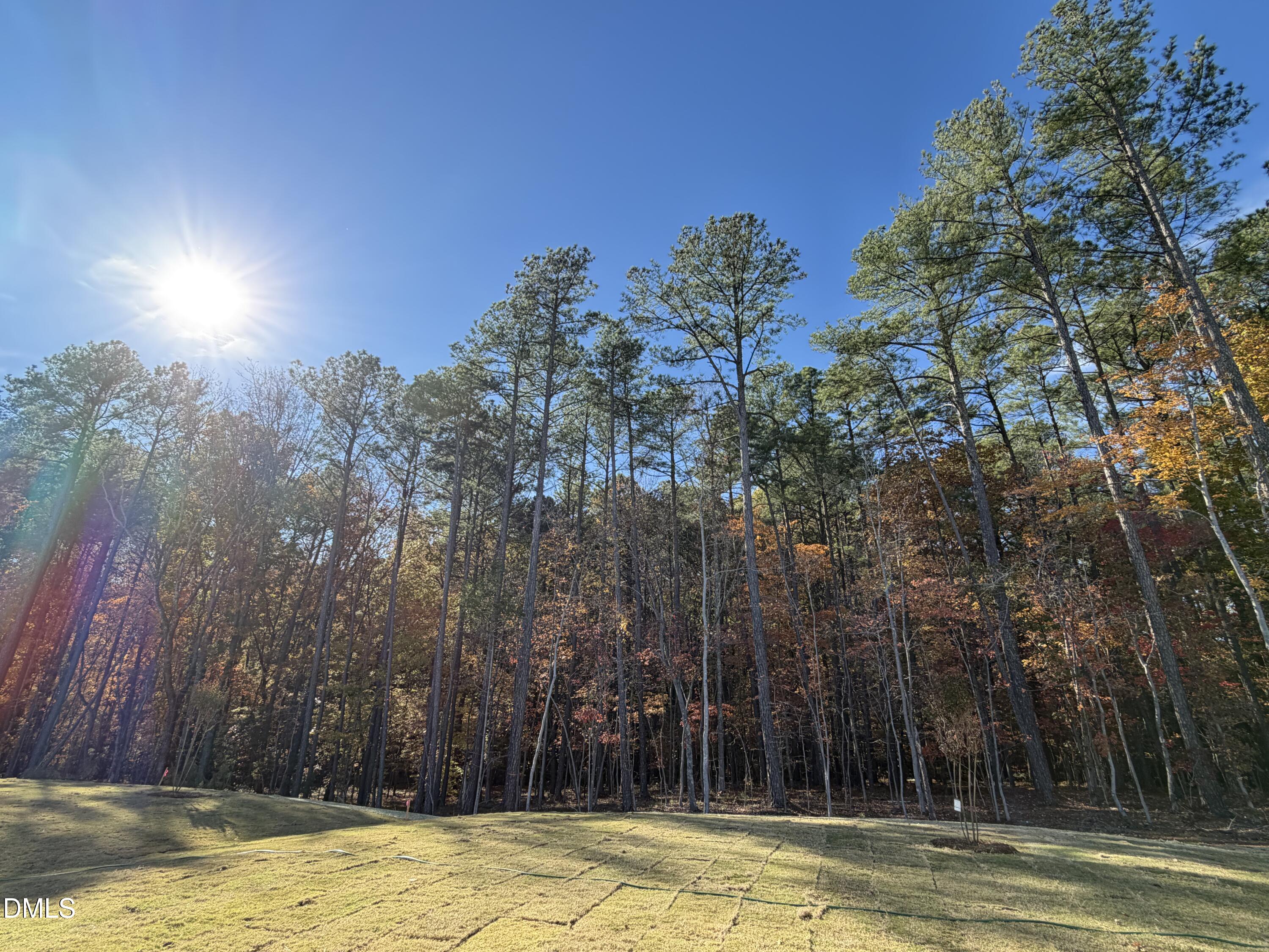 1100 Red Roses Avenue Durham, NC 27703 - Photo 15 of 51 a view of a swimming pool with a house in the background