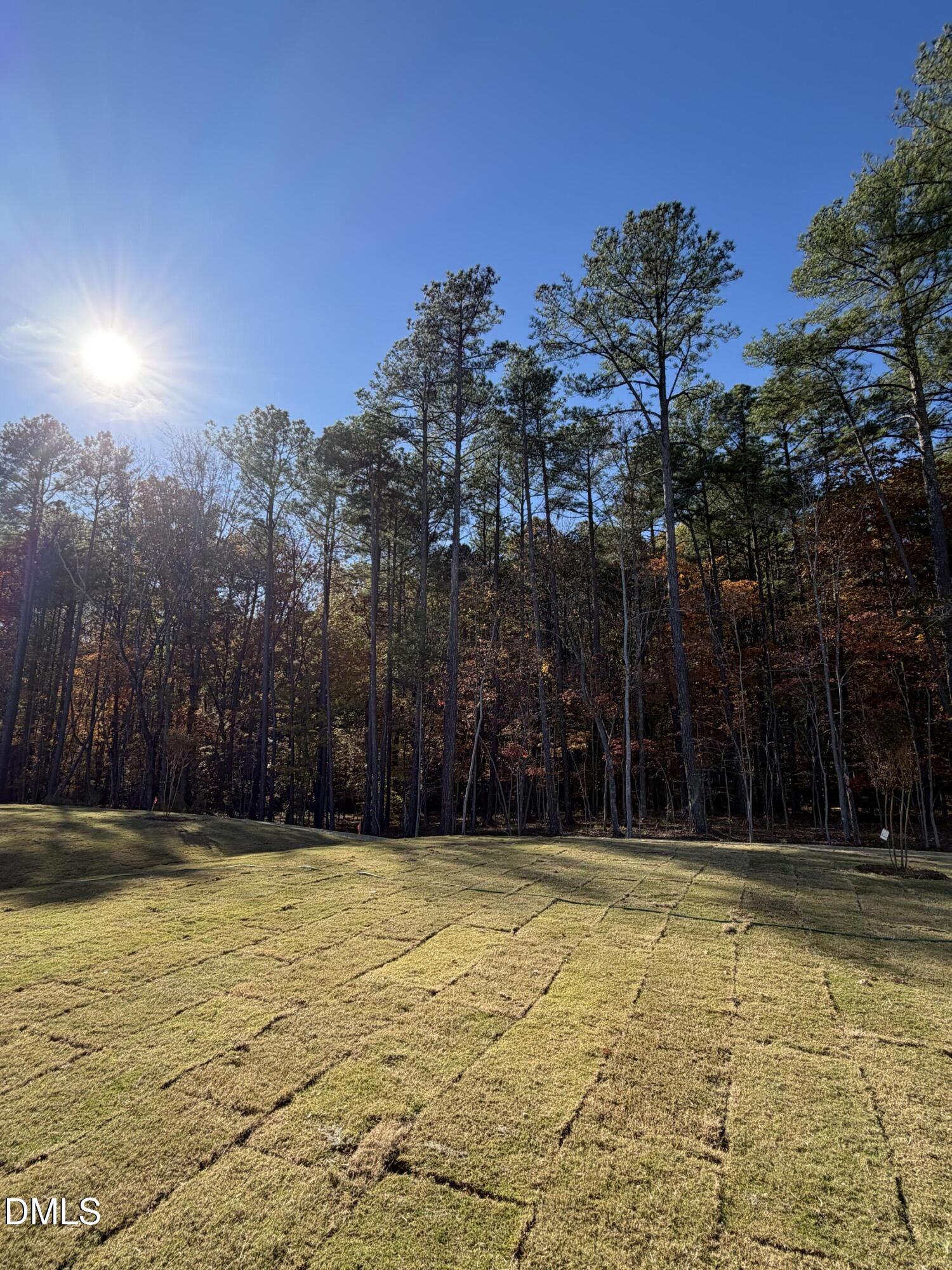 1100 Red Roses Avenue Durham, NC 27703 - Photo 16 of 51 a view of swimming pool with an outdoor space and seating area