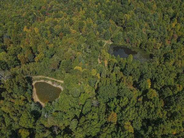 $475,000 | Tbd Tbd Flat, Pearisburg, VA 24134