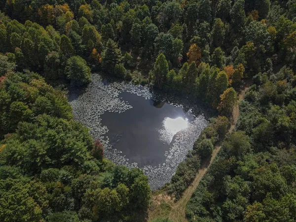 $475,000 | Tbd Tbd Flat, Pearisburg, VA 24134