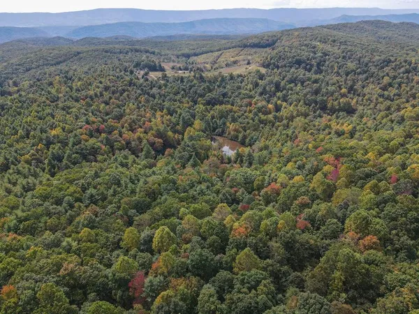 $475,000 | Tbd Tbd Flat, Pearisburg, VA 24134