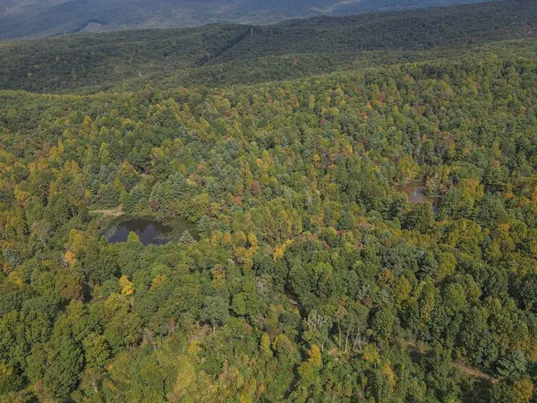 $475,000 | Tbd Tbd Flat, Pearisburg, VA 24134