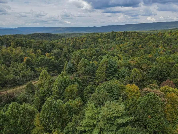 $475,000 | Tbd Tbd Flat, Pearisburg, VA 24134