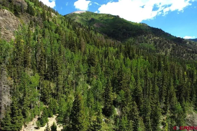 a view of a lush green forest with a mountain