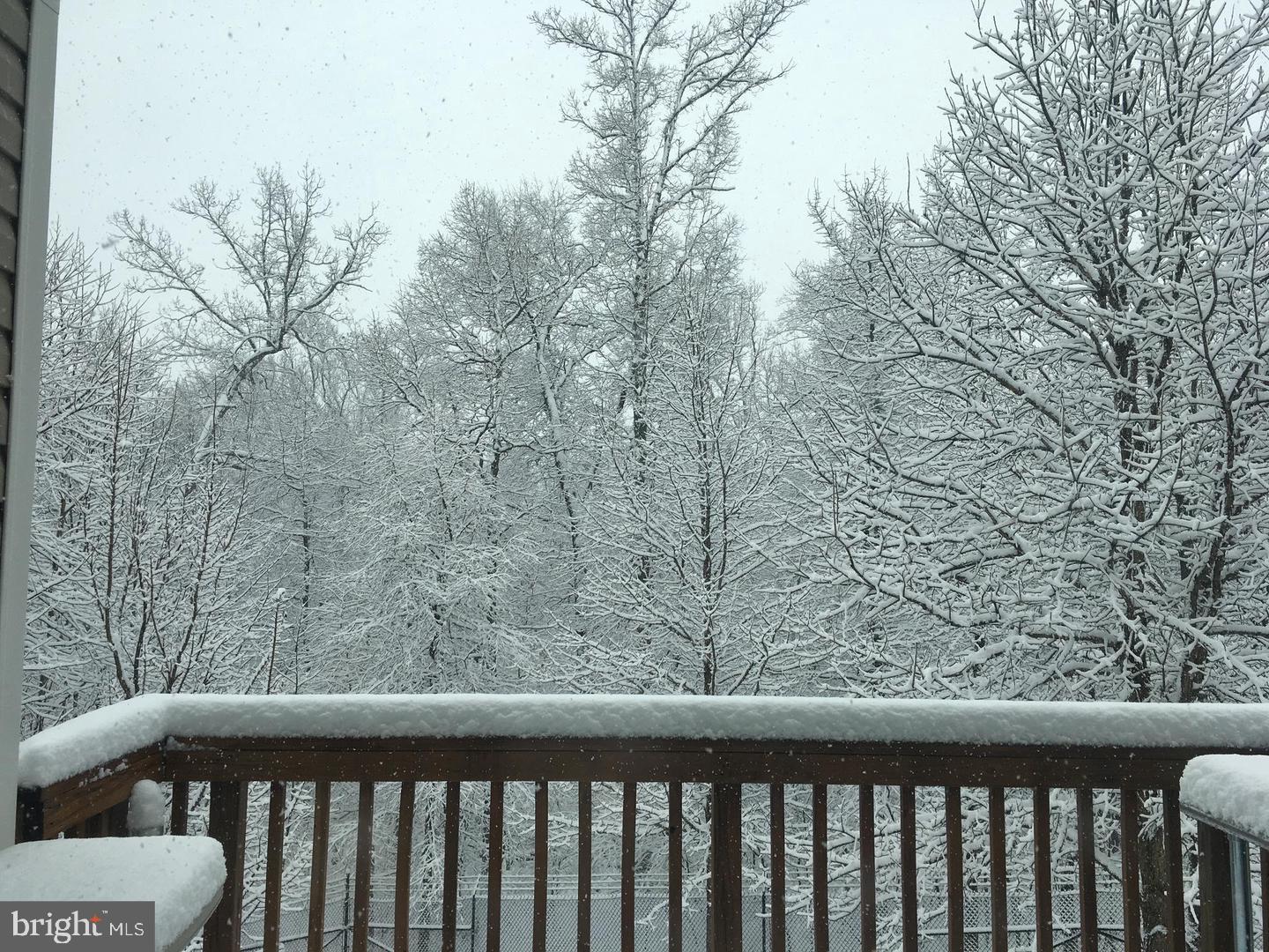 1631 Treetop View Terrace Silver Spring, MD 20904 - Photo 3 of 36 Winter views from the deck