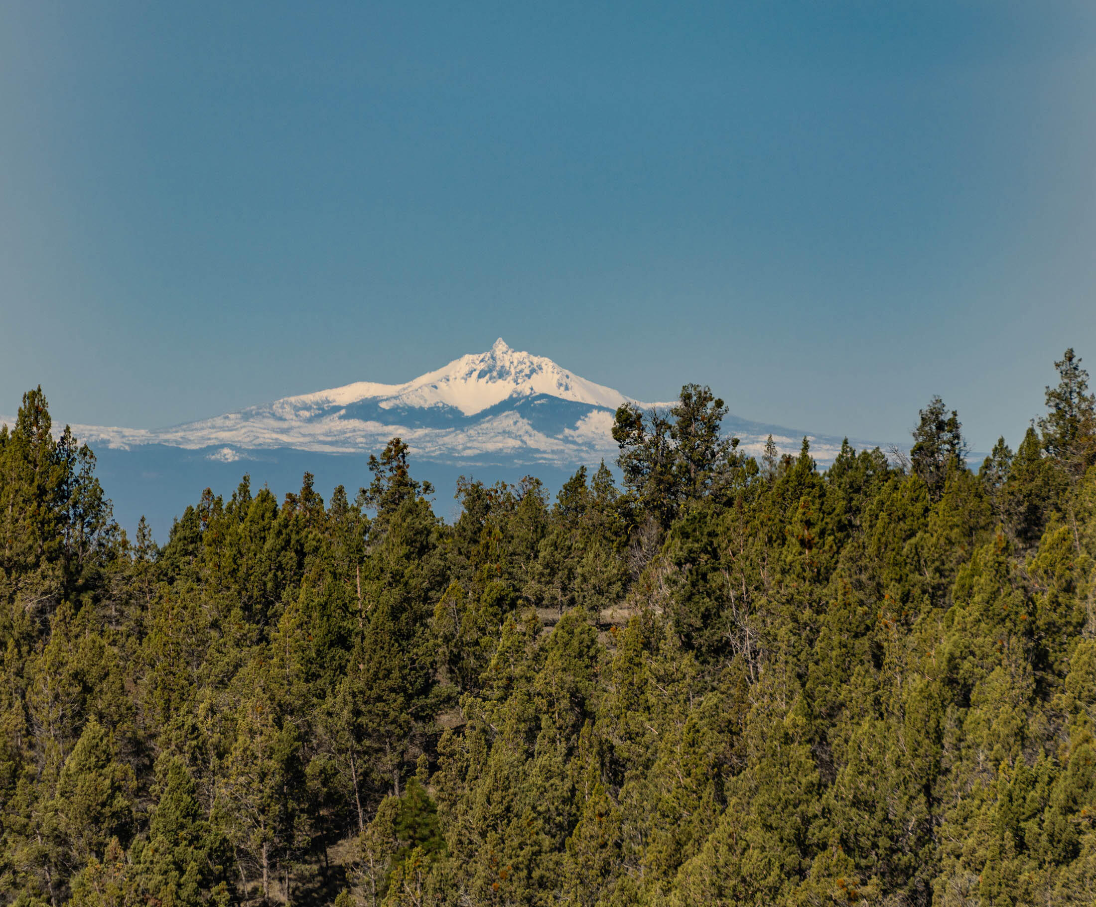7201 Johnson Creek Road Prineville, OR 97754 - Photo 32 of 54 7201 NE Johnson Creek Rd_0024