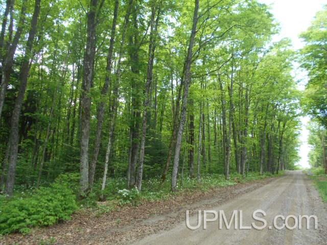 Tbd Palmquist Road Florence, WI 54120 - Photo 2 of 5