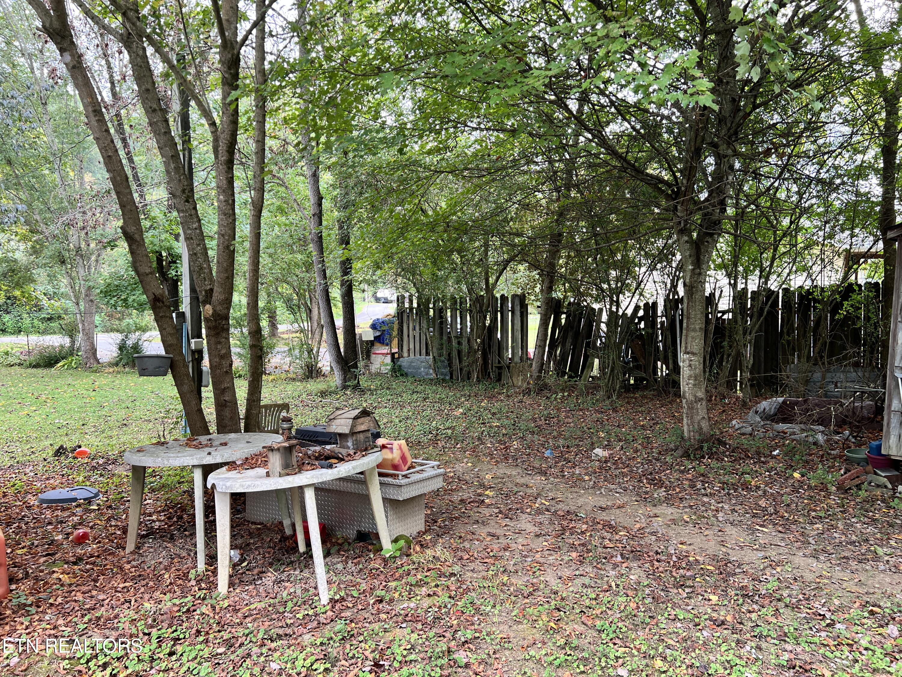 161 Pond Road Oliver Springs, TN 37840 - Photo 8 of 10 IMG_5517