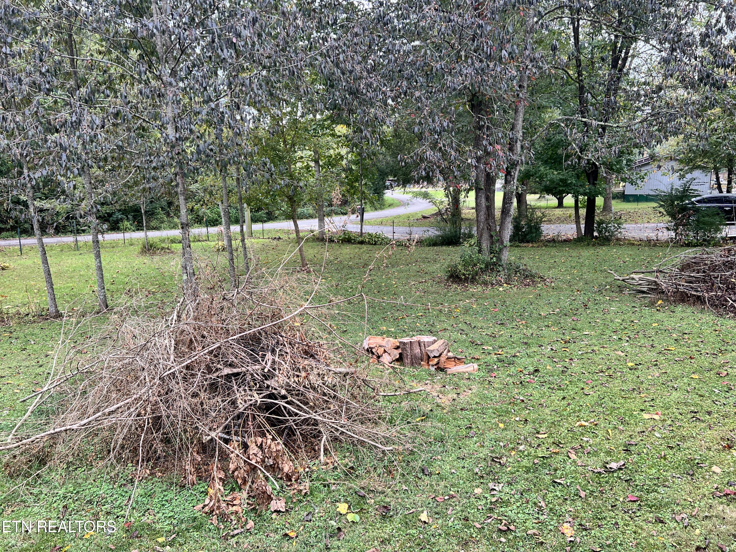 161 Pond Road Oliver Springs, TN 37840 - Photo 10 of 10 IMG_5514