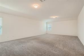 700 Mallow Road Leander, TX 78641 - Photo 25 of 28 Plush carpeting and dual windows enhance this generously proportioned upstairs bonus space.
