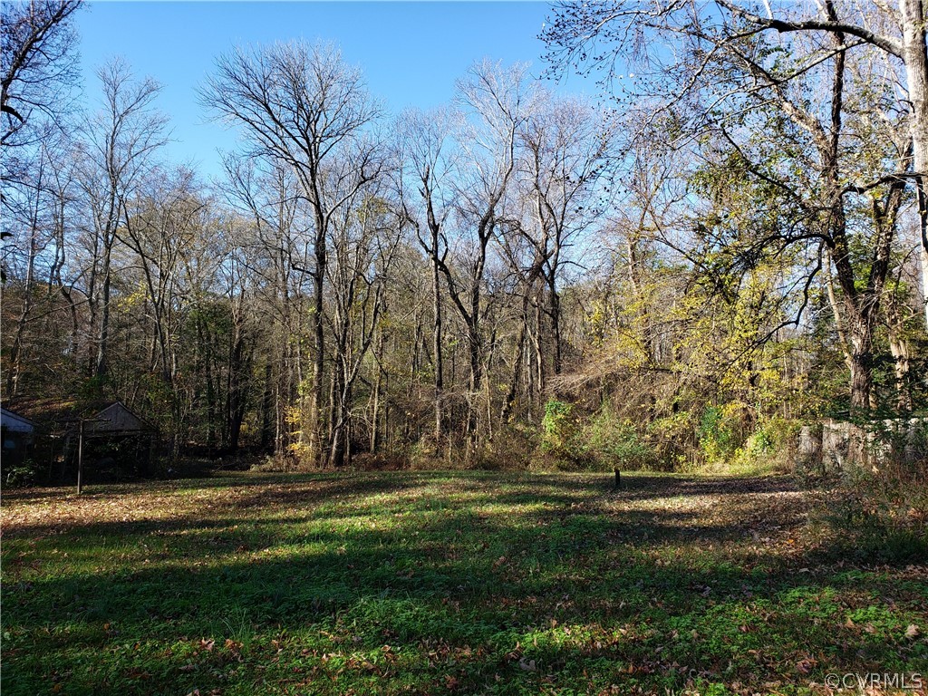 10616 Walton Lake Road Disputanta, VA 23842 - Photo 6 of 14 Gallery Image 6