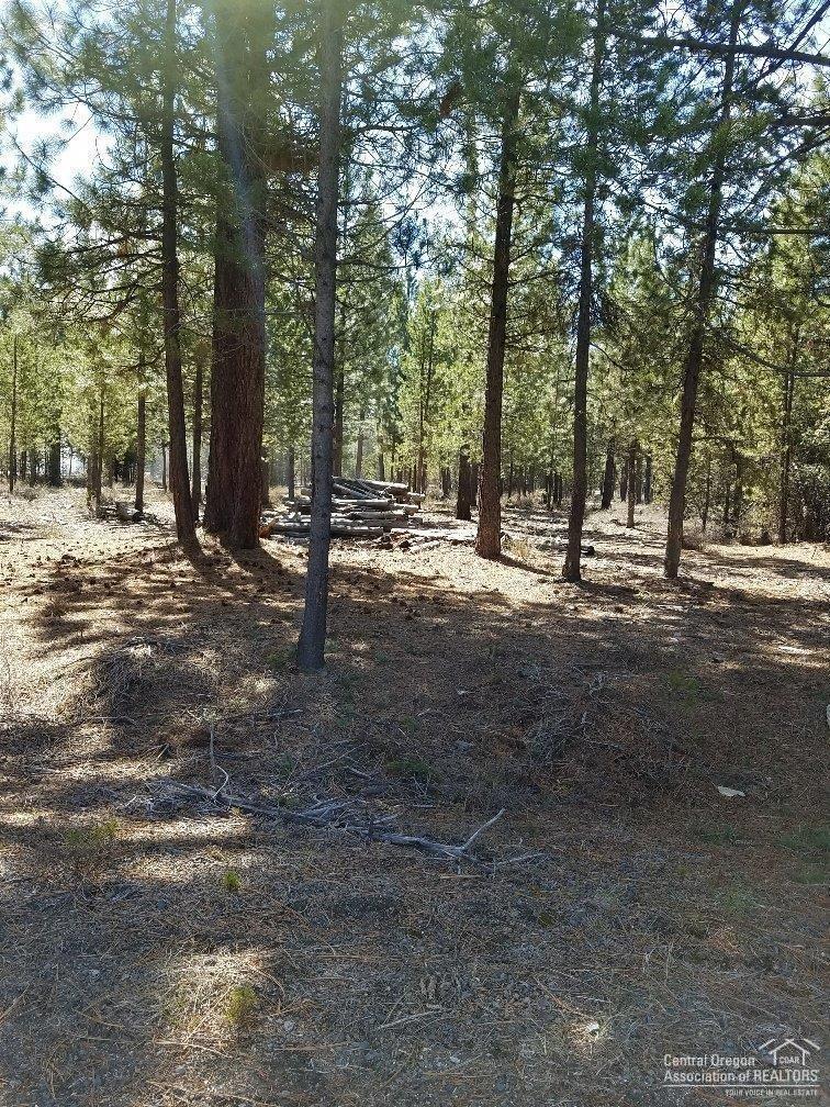 4600 Shellie Lane La Pine, OR 97739 - Photo 2 of 2 Additional Photo