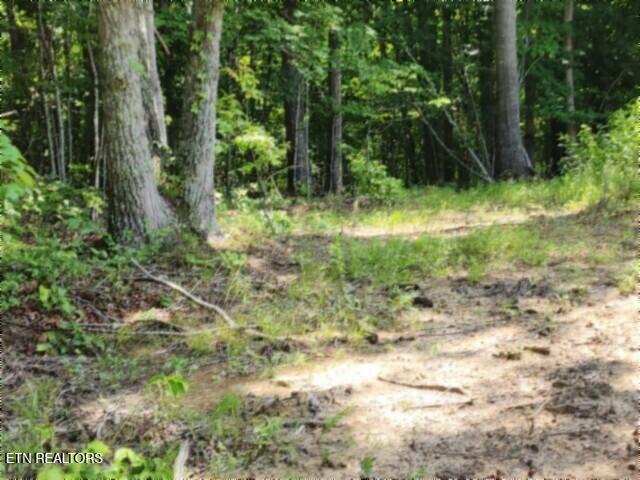 674 Rhodas Way Sunbright, TN 37872 - Photo 16 of 37 20260629_123156