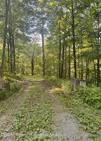 $1,100,000 | 4382 River Road, Equinunk, PA 18417