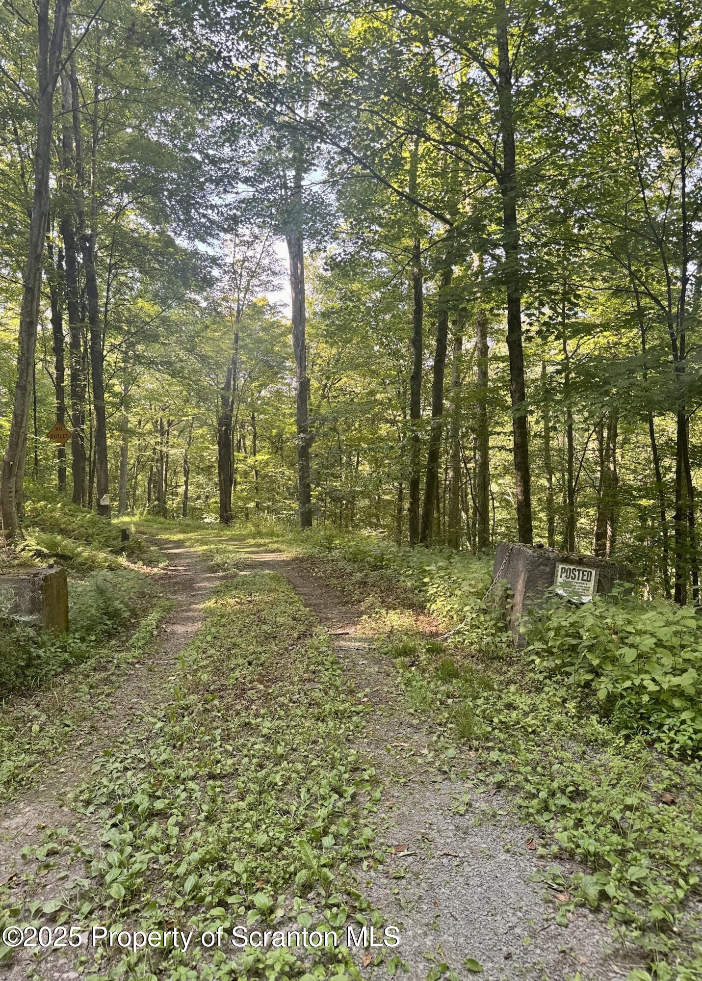 4382 River Road Equinunk, PA 18417 - Photo 36 of 42 driveway from River Rd.