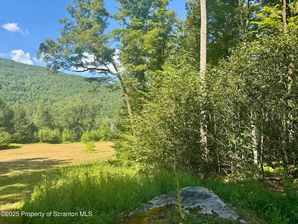 $1,100,000 | 4382 River Road, Equinunk, PA 18417