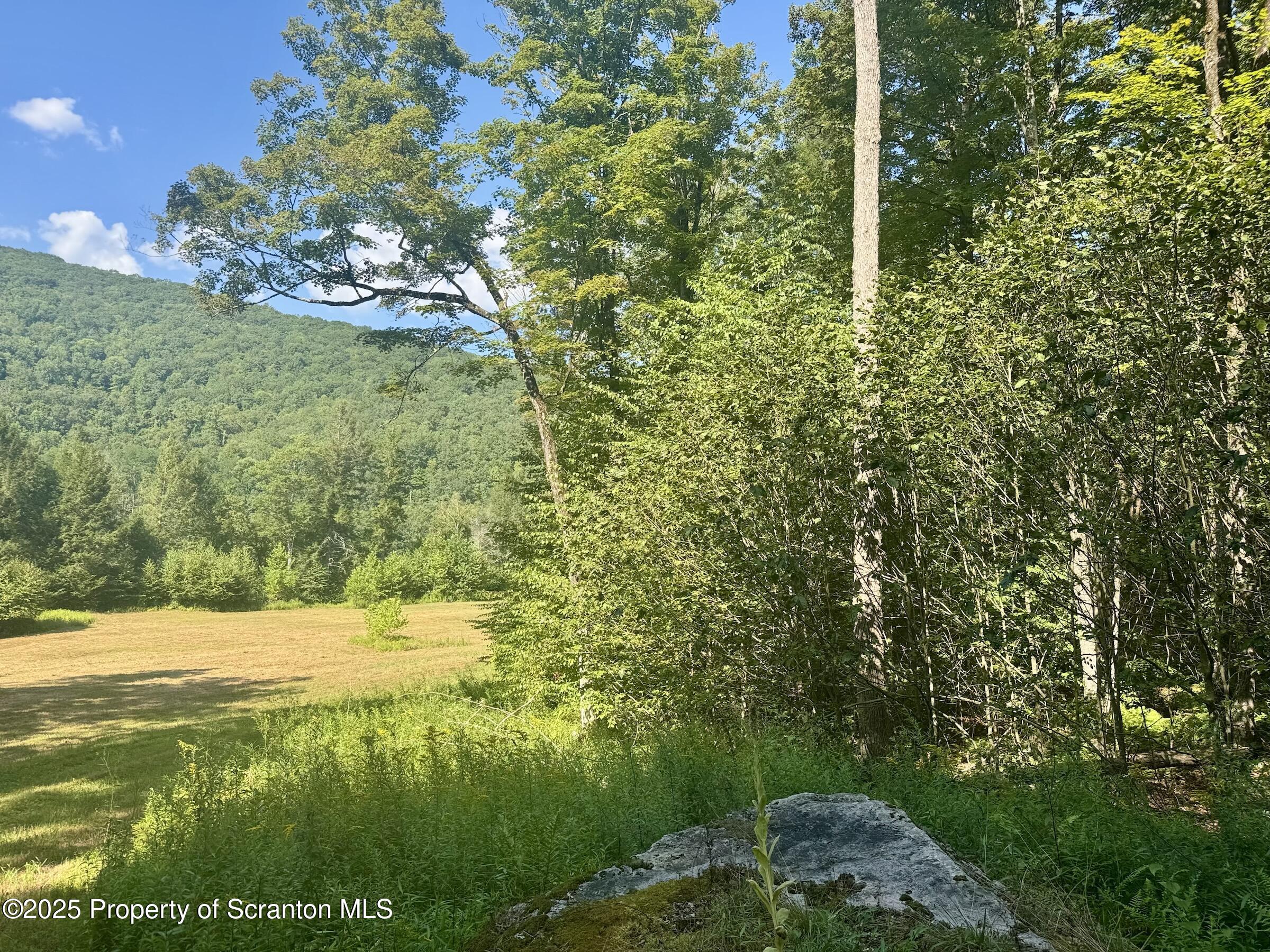 4382 River Road Equinunk, PA 18417 - Photo 37 of 42 mostly wooded