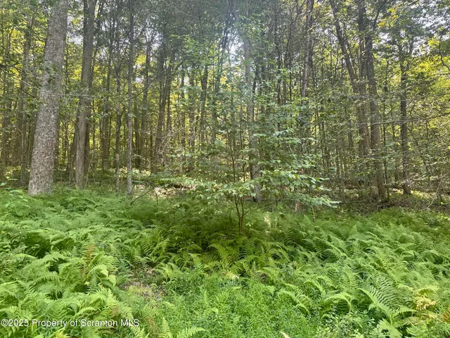 $1,100,000 | 4382 River Road, Equinunk, PA 18417