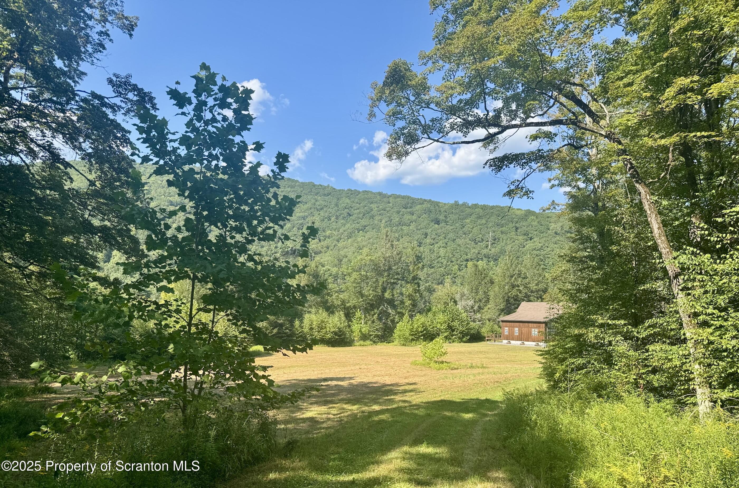 4382 River Road Equinunk, PA 18417 - Photo 4 of 42 private setting